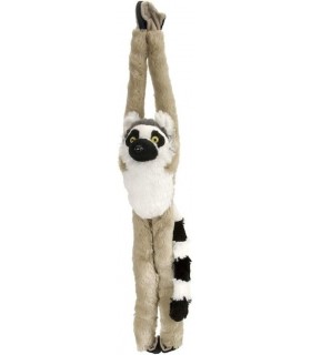 Maimuta Care Se Agata - Lemur