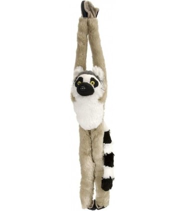 Maimuta care se agata, Lemur