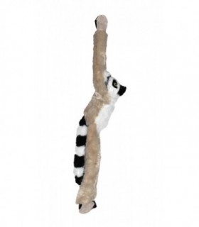 Maimuta Care Se Agata - Lemur