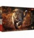 Puzzle Photo Odyssey Leopard, 1000 Piese Premium Plus
