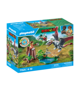 Observator Pentru Dimorphodon