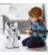 Silverit Robo Blast Robot