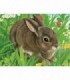 Puzzle In Cutie Animale, 12 Piese