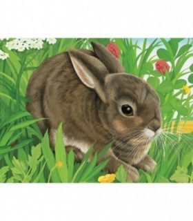 Puzzle In Cutie Animale, 12 Piese