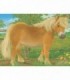 Puzzle In Cutie Animale, 12 Piese