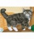 Puzzle In Cutie Animale, 12 Piese