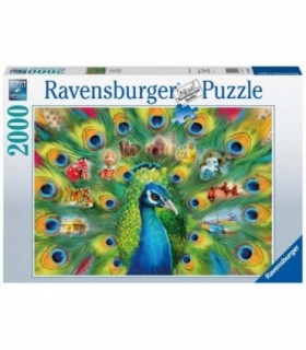 Puzzle Pisici Pe Raft, 500 Piese (Design Nou)