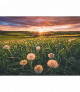 Puzzle Papadii La Apus, 500 Piese