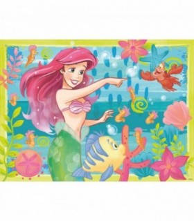 Puzzle Ariel, 500 Piese si Stickere