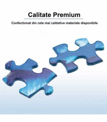 Puzzle Apus In Piata Parlamentului, 1000 Piese