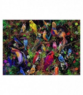 Puzzle Arta Pasarilor, 1000 Piese