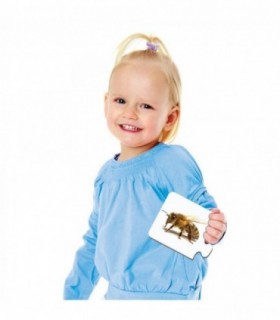 Puzzle Potriveste Primele Cuvinte - Eng
