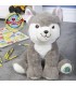Husky, 23 cm