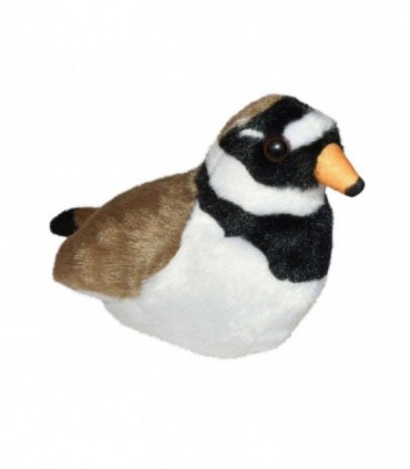 Pasare cu sunet - Prundaras Gulerat Mic (Ringed Plover)
