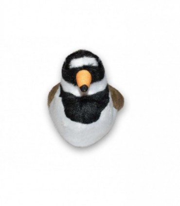 Pasare cu sunet - Prundaras Gulerat Mic (Ringed Plover)