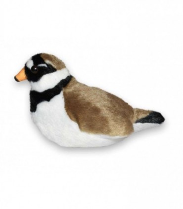 Pasare cu sunet - Prundaras Gulerat Mic (Ringed Plover)