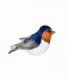 Pasare cu sunet Randunica (Barn Swallow)