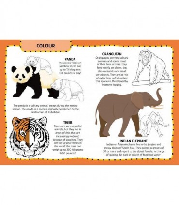 Primul set de arta & lucru manual - Animalute