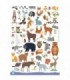 Primul set de arta & lucru manual - Animalute