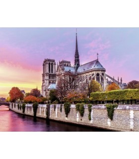 Pictura Notre Dame