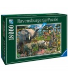 Puzzle 1000 - 40320 Piese